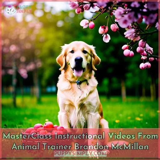 MasterClass Instructional Videos From Animal Trainer Brandon McMillan