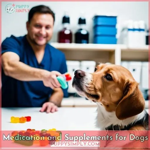 Medication and Supplements for Dogs