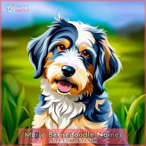 Merle Bernedoodle Names