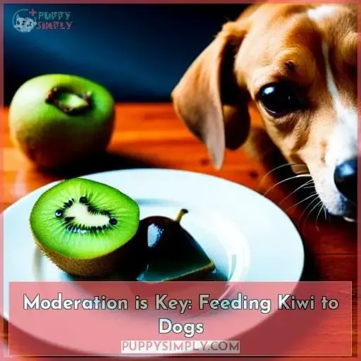 Moderation is Key: Feeding Kiwi to Dogs