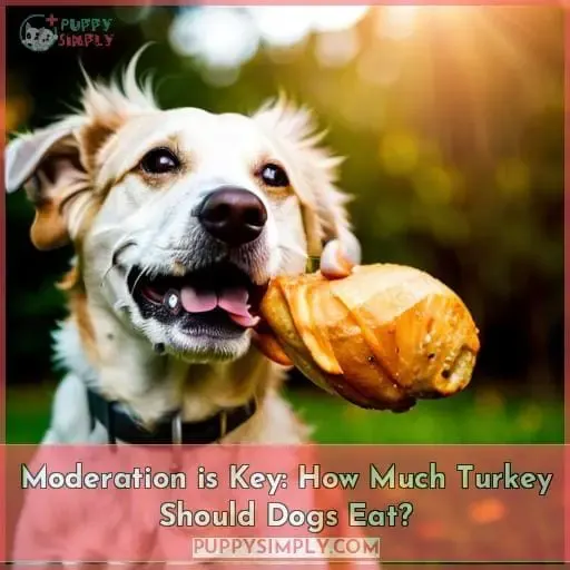 Moderation is Key: How Much Turkey Should Dogs Eat?