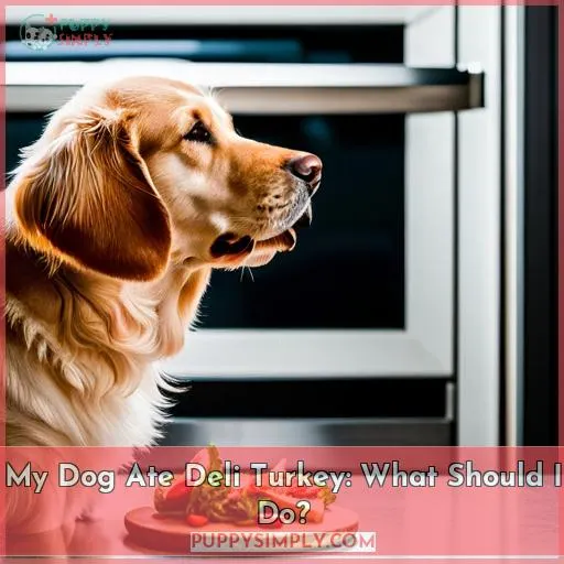 My Dog Ate Deli Turkey: What Should I Do?