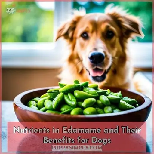 Nutrients in Edamame and Their Benefits for Dogs