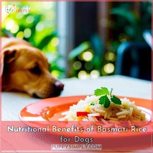 Nutritional Benefits of Basmati Rice for Dogs