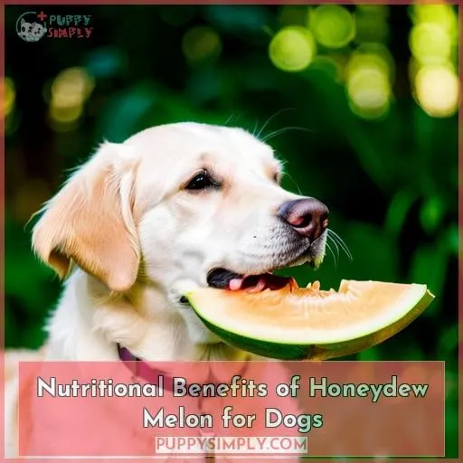 Nutritional Benefits of Honeydew Melon for Dogs