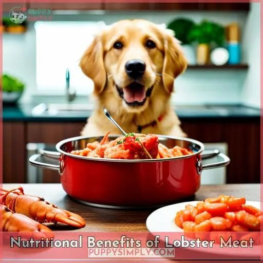 Nutritional Benefits of Lobster Meat