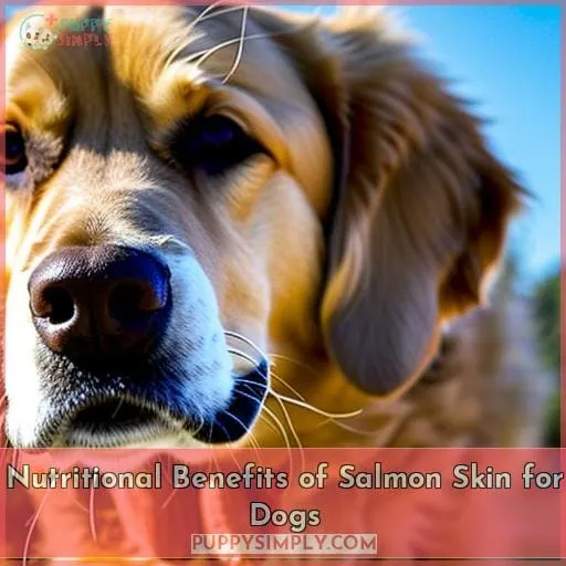 Nutritional Benefits of Salmon Skin for Dogs