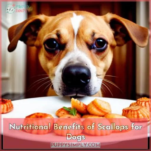 Nutritional Benefits of Scallops for Dogs