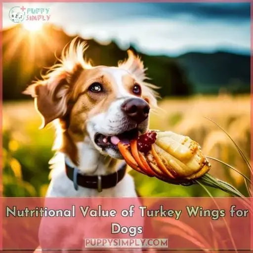 Nutritional Value of Turkey Wings for Dogs