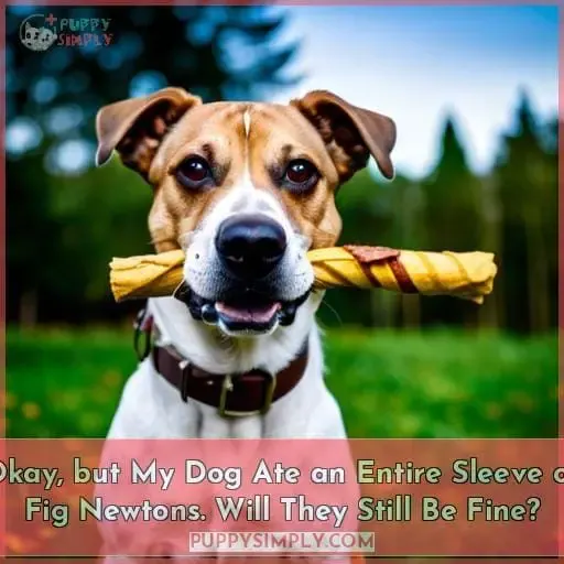 Okay, but My Dog Ate an Entire Sleeve of Fig Newtons. Will They Still Be Fine?