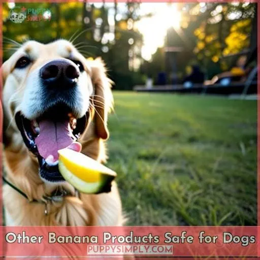Other Banana Products Safe for Dogs