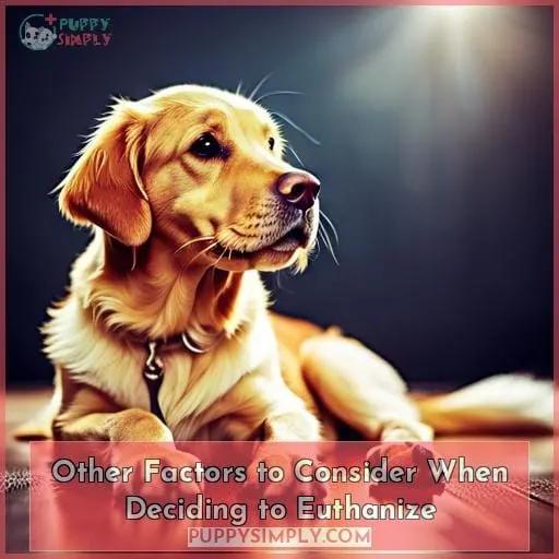 Other Factors to Consider When Deciding to Euthanize