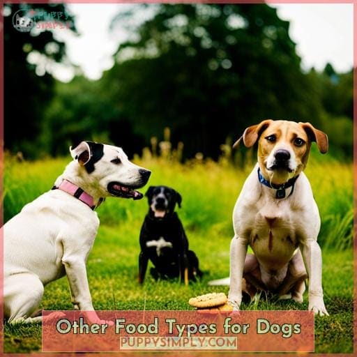 Can Dogs Eat Anise Cookies? Safety, Risks & Tips for Pet Owners