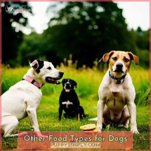 Other Food Types for Dogs