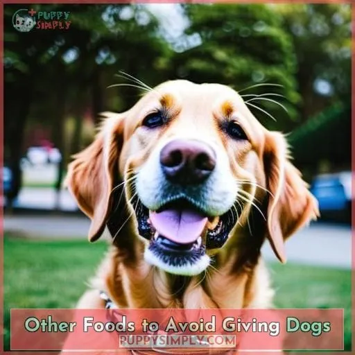 Other Foods to Avoid Giving Dogs