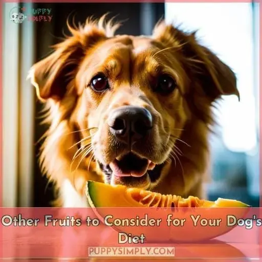 Other Fruits to Consider for Your Dog