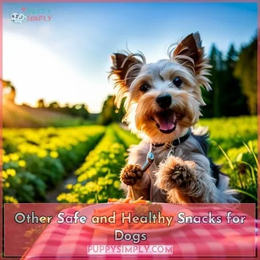 Other Safe and Healthy Snacks for Dogs