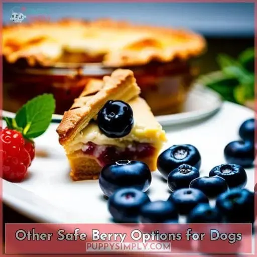 Other Safe Berry Options for Dogs