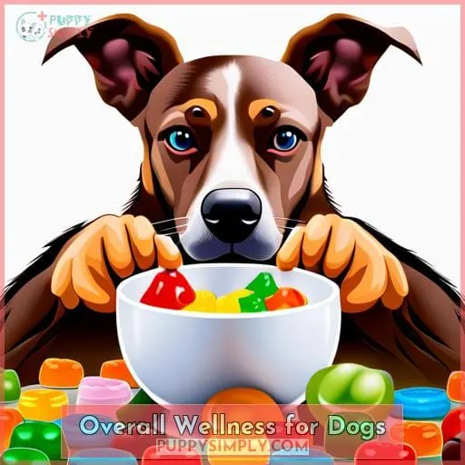 Overall Wellness for Dogs