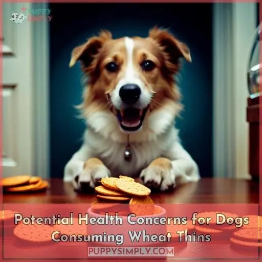 Potential Health Concerns for Dogs Consuming Wheat Thins