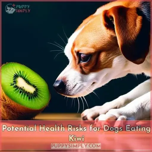 Potential Health Risks for Dogs Eating Kiwi