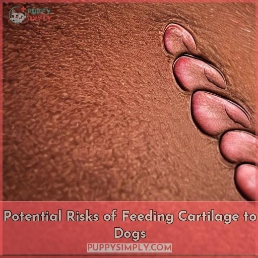 Potential Risks of Feeding Cartilage to Dogs