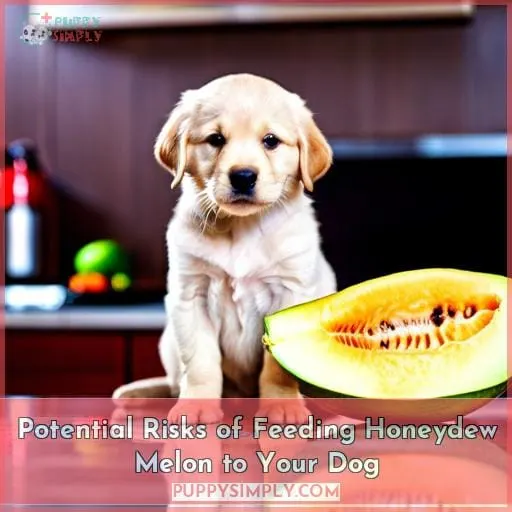 Potential Risks of Feeding Honeydew Melon to Your Dog