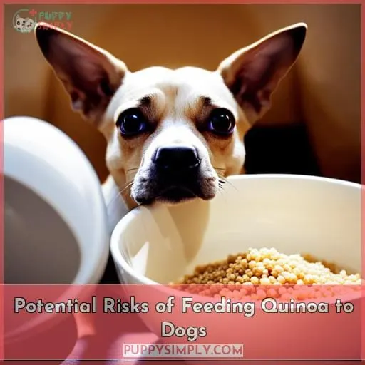 Potential Risks of Feeding Quinoa to Dogs
