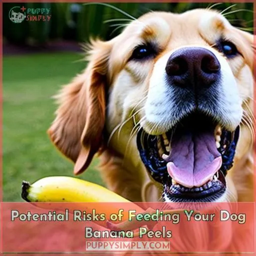 Potential Risks of Feeding Your Dog Banana Peels
