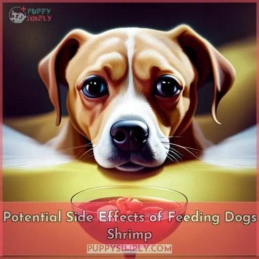Potential Side Effects of Feeding Dogs Shrimp
