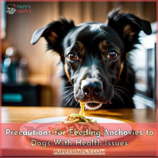 Precautions for Feeding Anchovies to Dogs With Health Issues