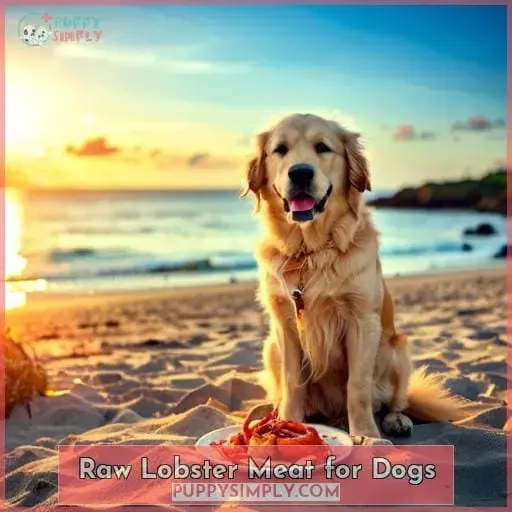 Raw Lobster Meat for Dogs