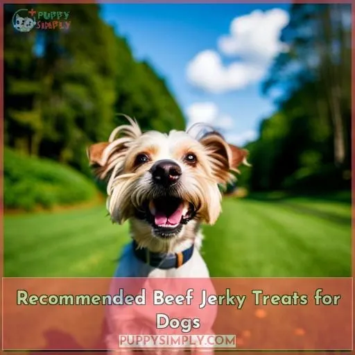 Recommended Beef Jerky Treats for Dogs