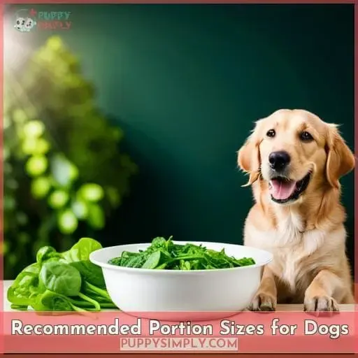 Recommended Portion Sizes for Dogs