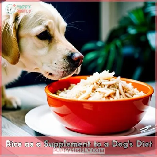 Rice as a Supplement to a Dog