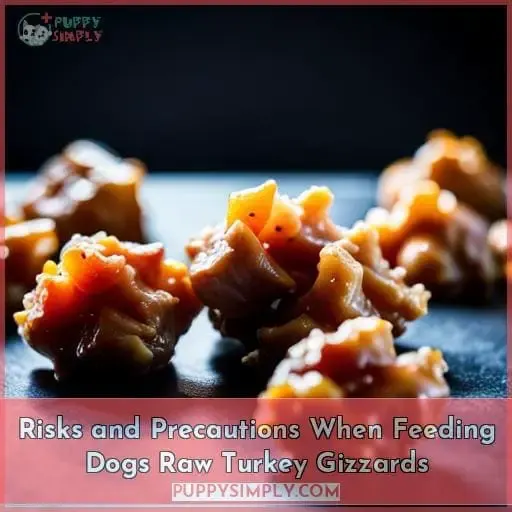 Risks and Precautions When Feeding Dogs Raw Turkey Gizzards