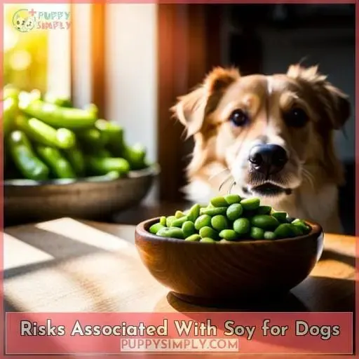Risks Associated With Soy for Dogs