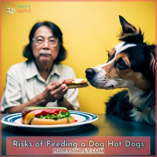 Risks of Feeding a Dog Hot Dogs