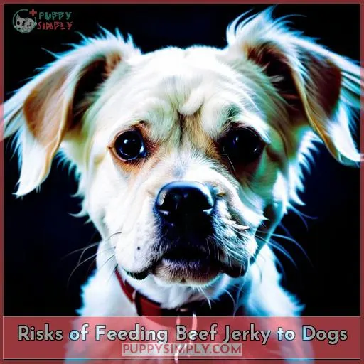 Risks of Feeding Beef Jerky to Dogs