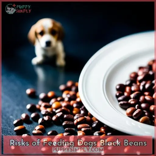 Risks of Feeding Dogs Black Beans