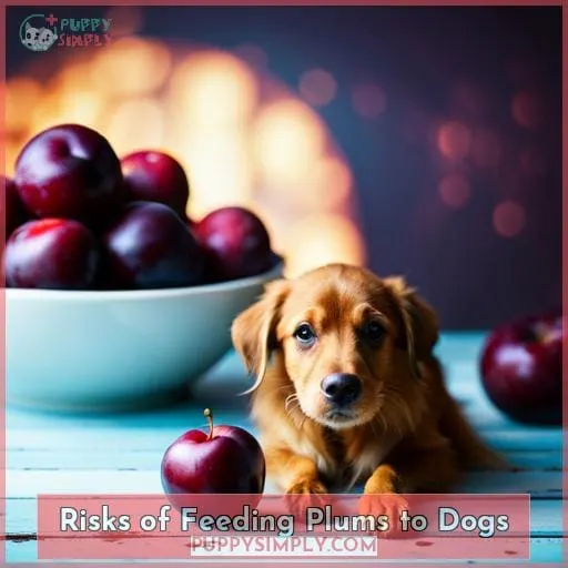 Risks of Feeding Plums to Dogs