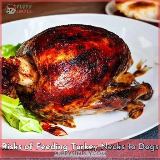 Risks of Feeding Turkey Necks to Dogs