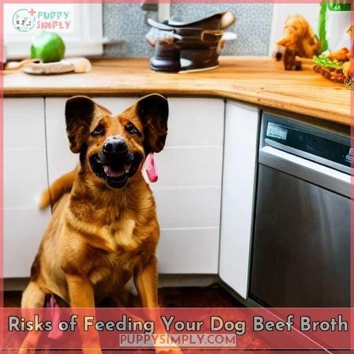 Risks of Feeding Your Dog Beef Broth