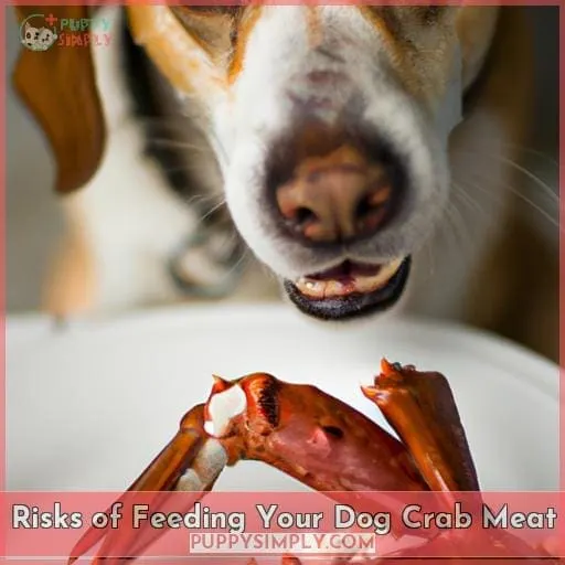 Risks of Feeding Your Dog Crab Meat