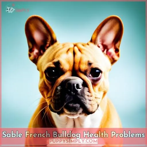 Sable French Bulldog Health Problems