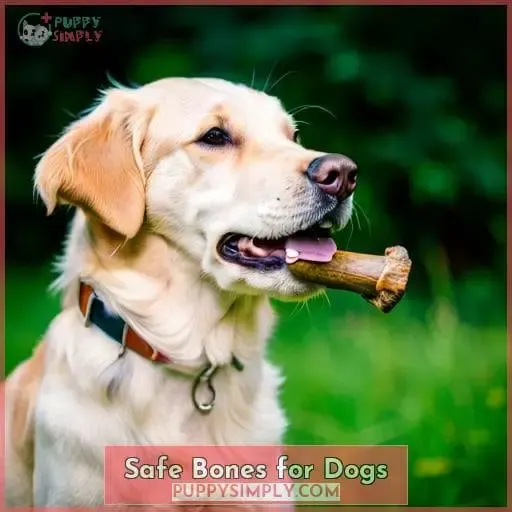 Safe Bones for Dogs