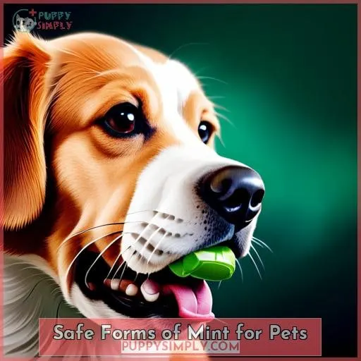 Safe Forms of Mint for Pets