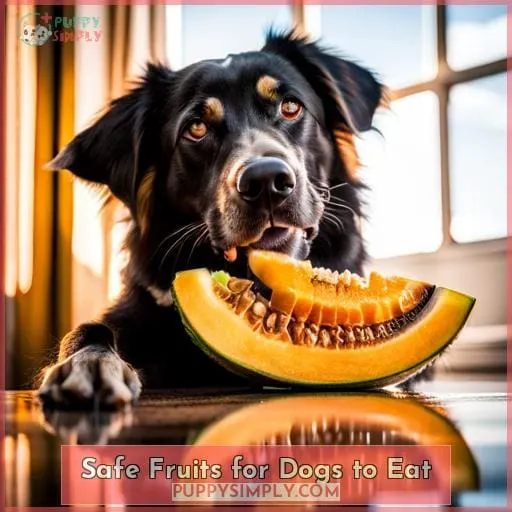 Safe Fruits for Dogs to Eat