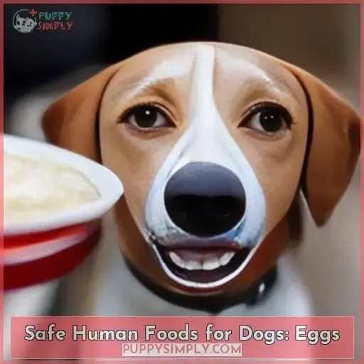 Safe Human Foods for Dogs: Eggs