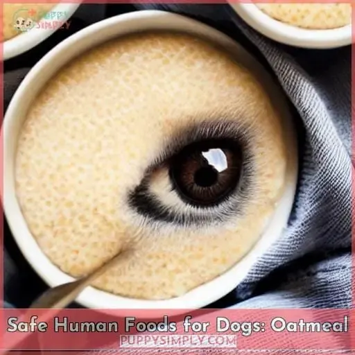Safe Human Foods for Dogs: Oatmeal